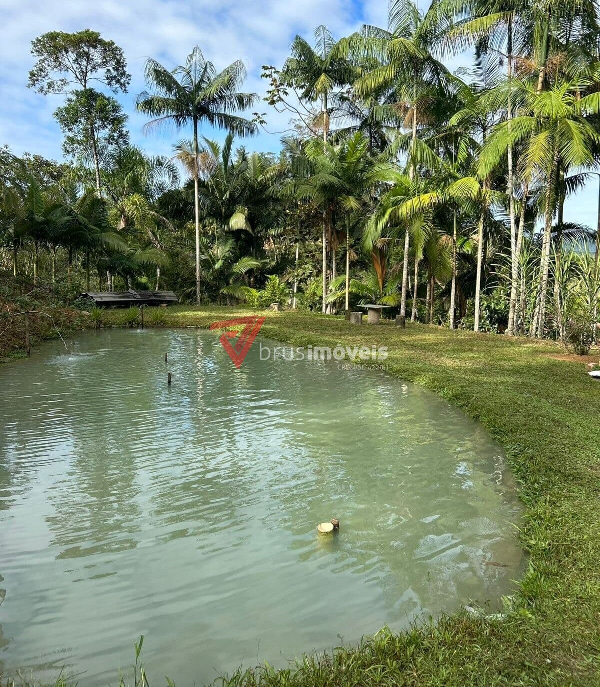 Sítio no Bairro Pomerânia, Guabiruba/SC