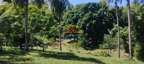 Lote/Terreno em Mata de São João - Diogo