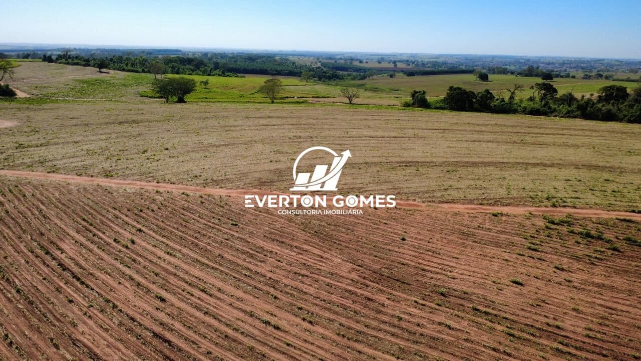 Sítio 6 Alqueires a venda na Região de Américo de Campo - SP