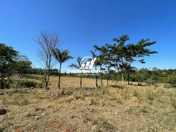 Terreno 20.000 m2 para lazer ou indústria Mirassol-Sp