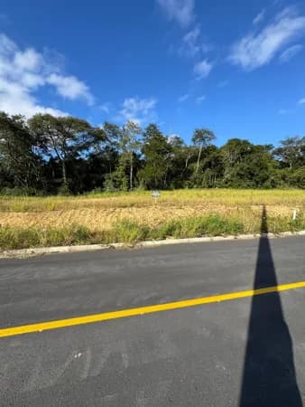 Terreno na quadra G lote 8 de 409m²
