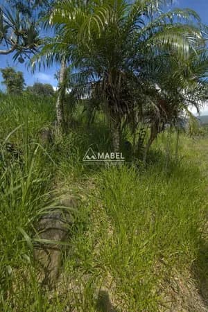 Terreno Venda em Garopaba SC
