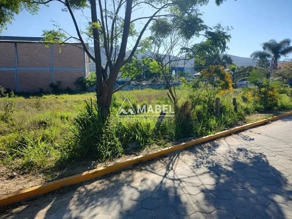 Terreno à venda no bairro Areias De Palhocinha em Garopaba/SC