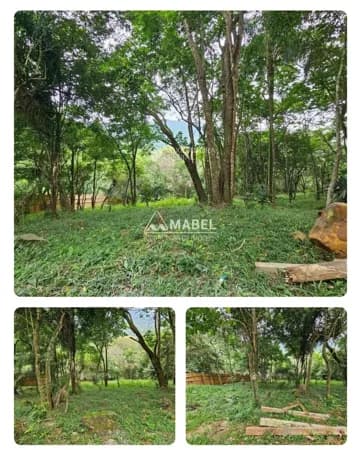 Terreno à venda no bairro Encantada em Garopaba/SC