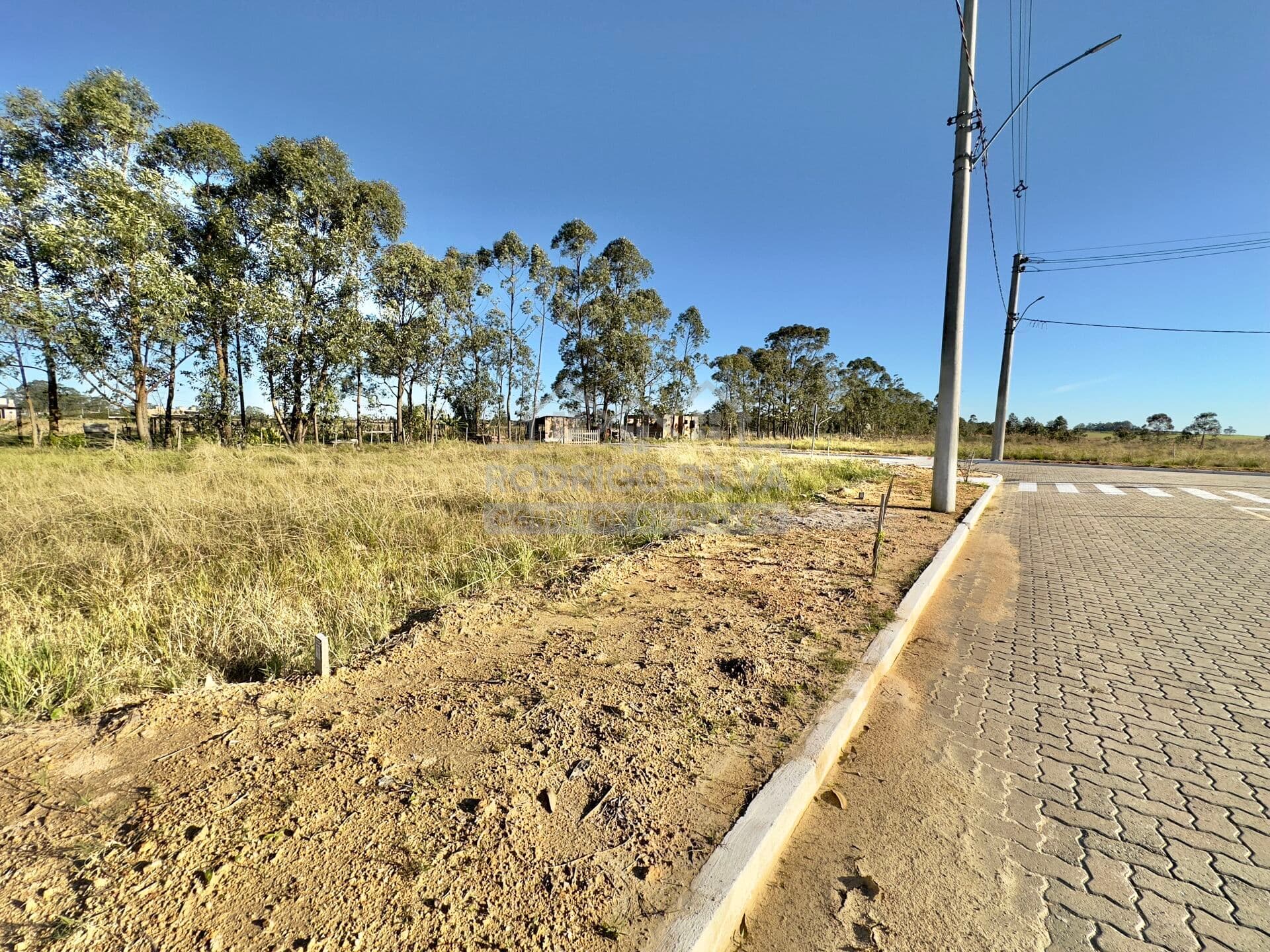 Lote/Terreno em São Lourenço do Sul - Avenida