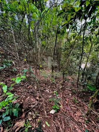 Terreno em Pessegueiros, Teresópolis/RJ