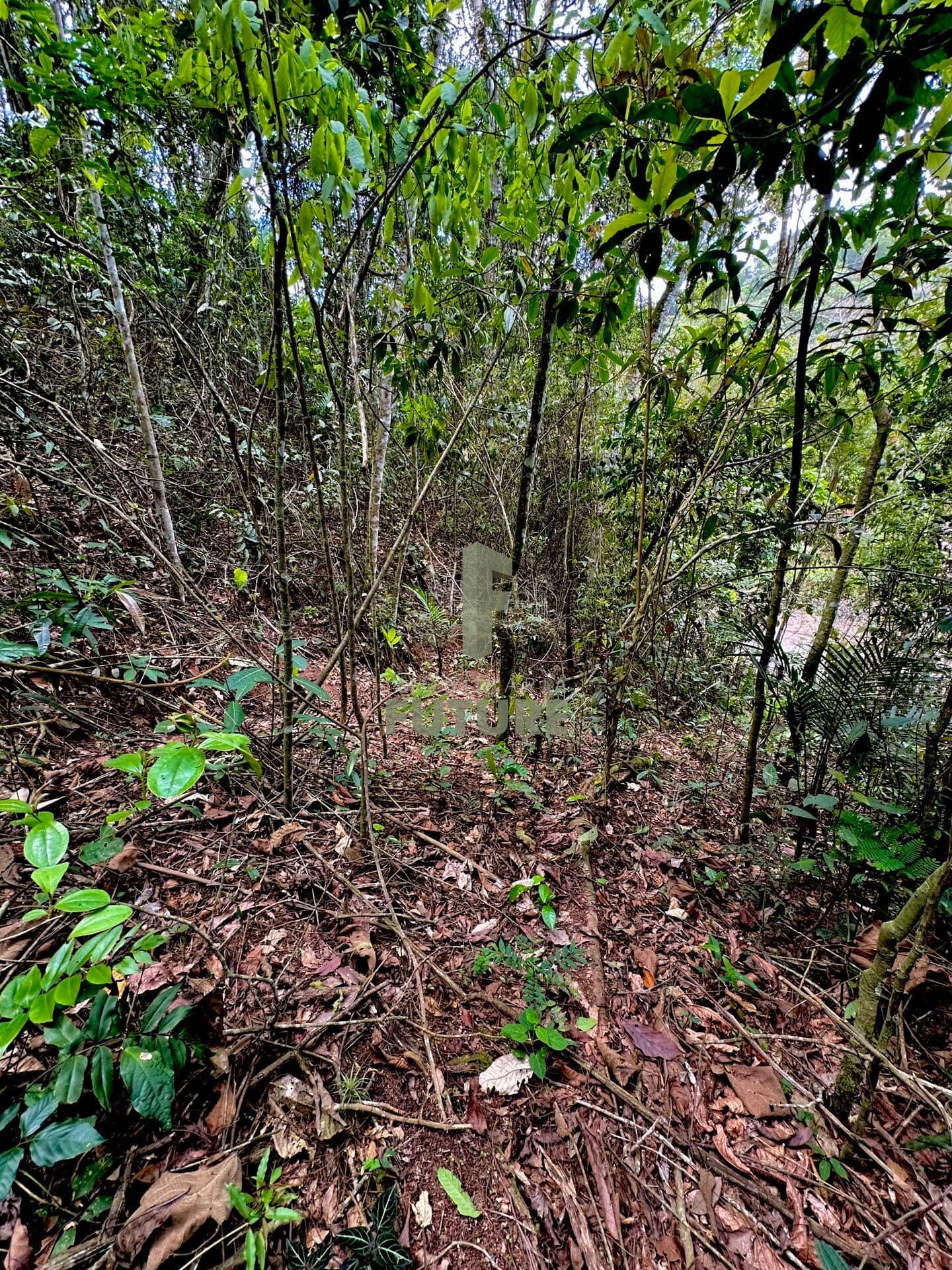 Terreno em Pessegueiros, Teresópolis/RJ