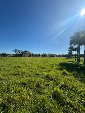 SÍTIO DE 36.000 M² COM LAGO, ÁREA DE PLANTIO E PASTO À VENDA – MEDEIROS - Jundiaí/SP