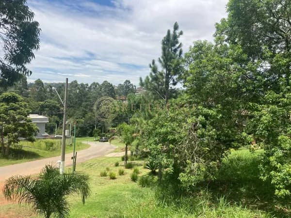 Terreno Aclive / Paysage Serein