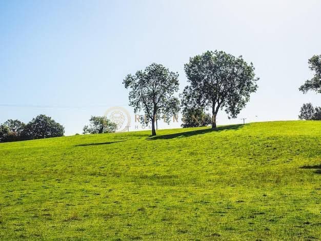 TERRENO EXCLUSIVO DE 390.000 M² PRÓXIMO À QUINTA DA BARONEZA – LOCALIZAÇÃO NOBRE