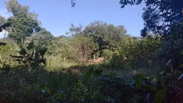 Sítio à venda em Guararema/SP