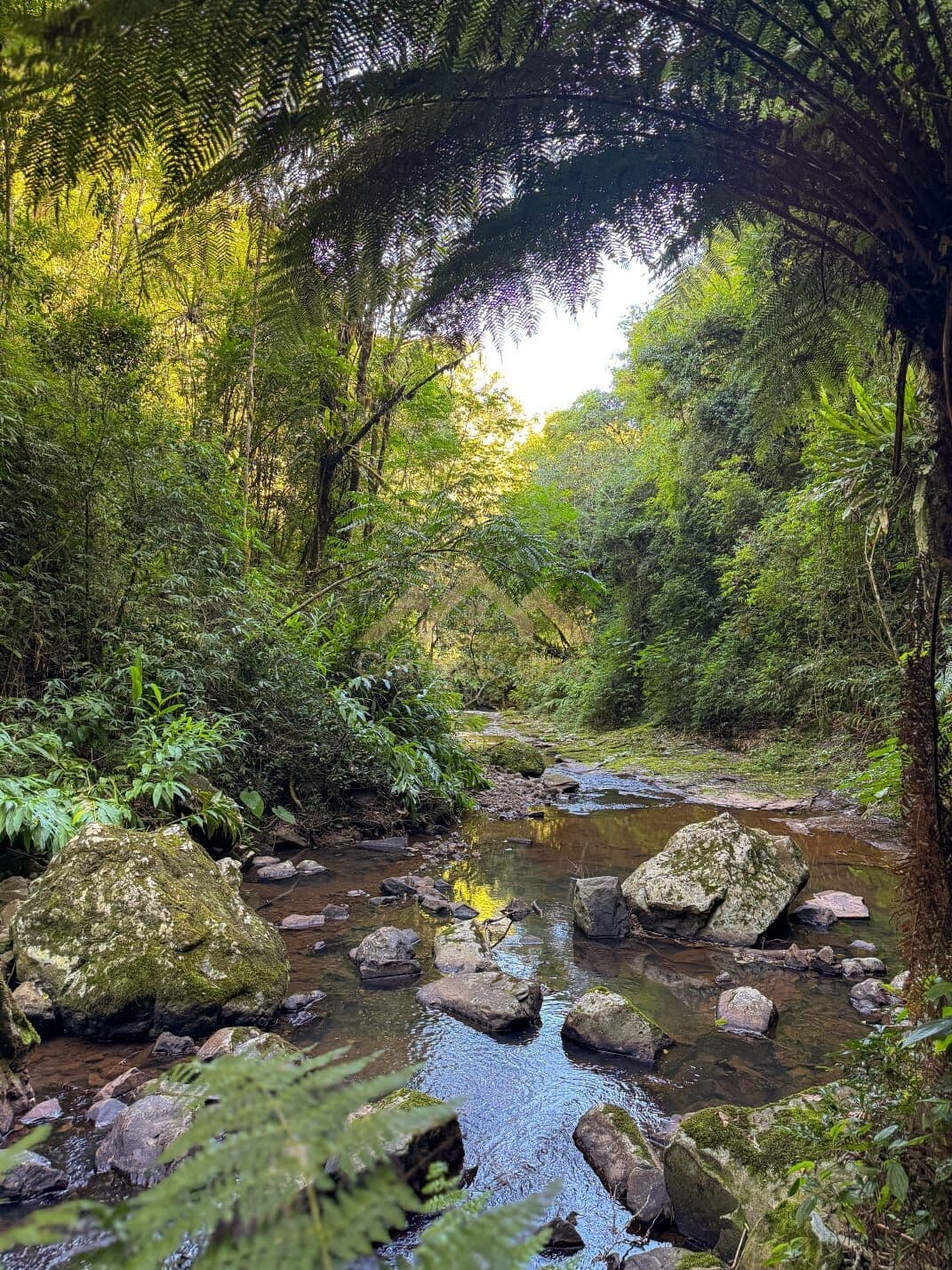 Fazenda/Sítios/Chácaras em Santa Maria do Herval - Padre Eterno