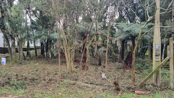 Lote/Terreno em Gramado - Vila Suiça