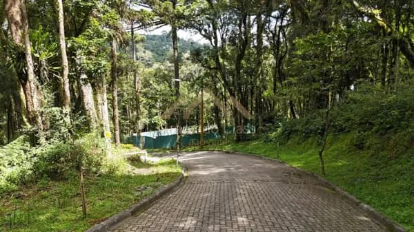 Terreno em Condomínio em Canela