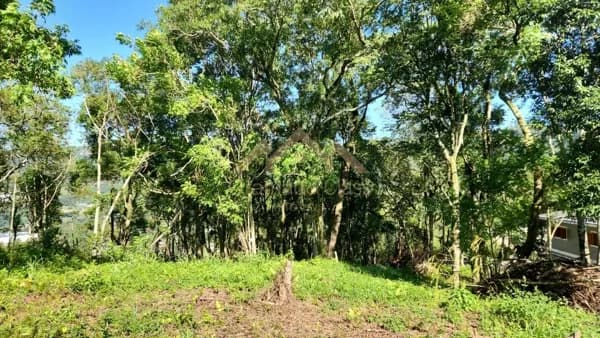 Dois lotes de terreno unificados, totalizando 1.200 m²