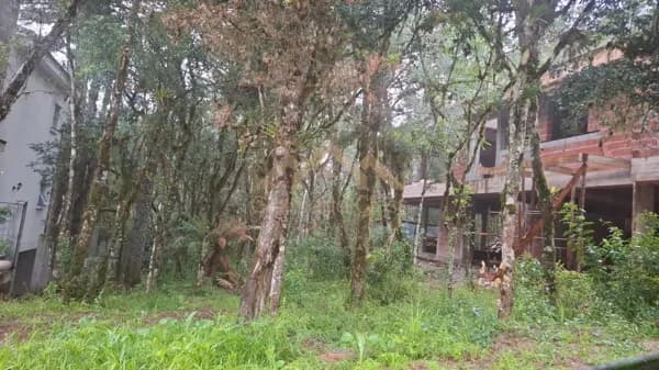 Lote/Terreno em Gramado - Centro