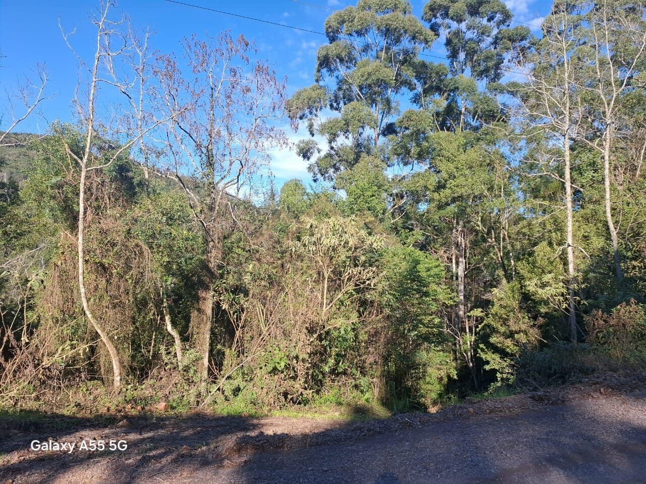 Fazenda/Sítios/Chácaras em Santa Maria do Herval - Padre Eterno