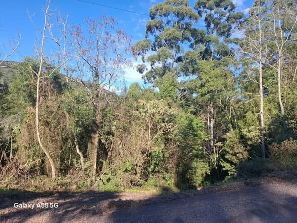 Fazenda/Sítios/Chácaras em Santa Maria do Herval - Padre Eterno
