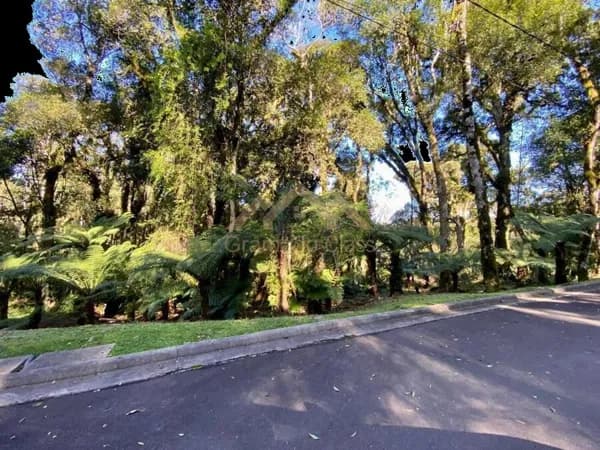 Ótimo terreno em Condomínio Fechado de Gramado