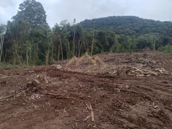 Fazenda/Sítios/Chácaras em Canela - Área Rural de Canela