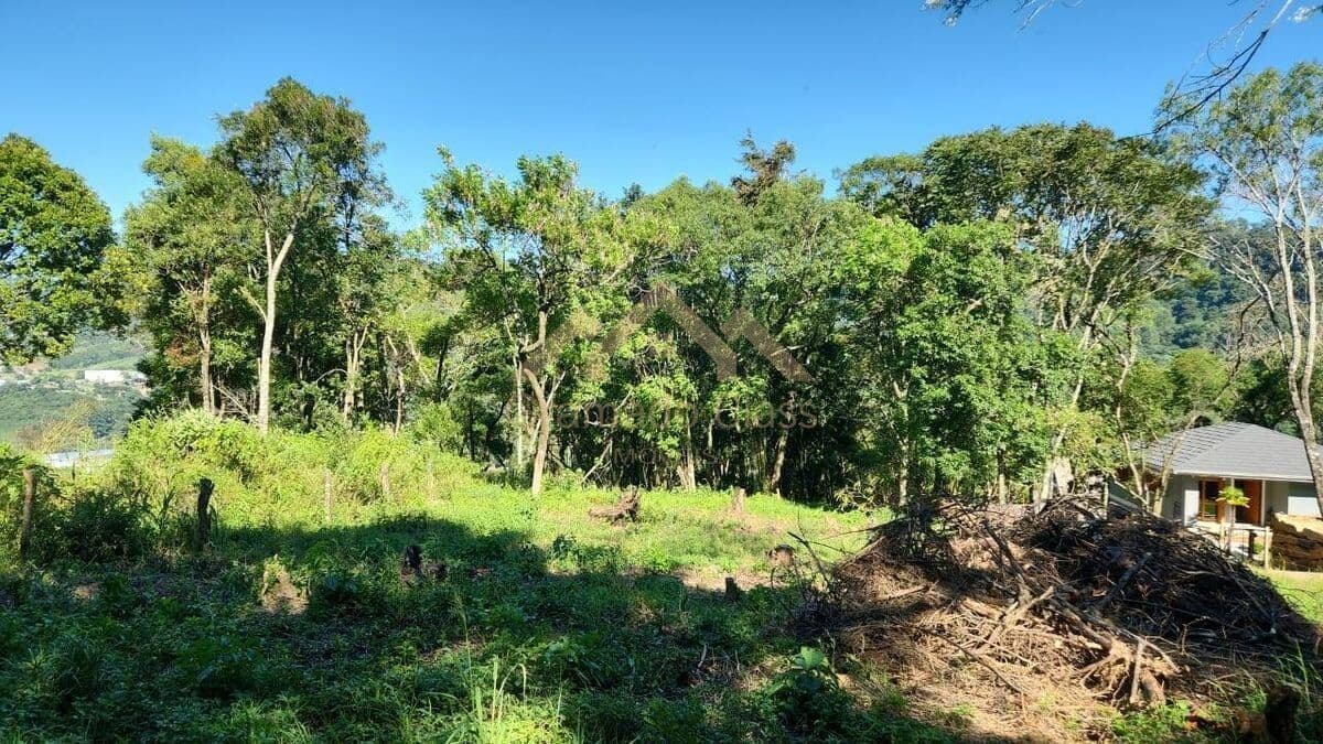 Terreno na RS 115 em Gramado