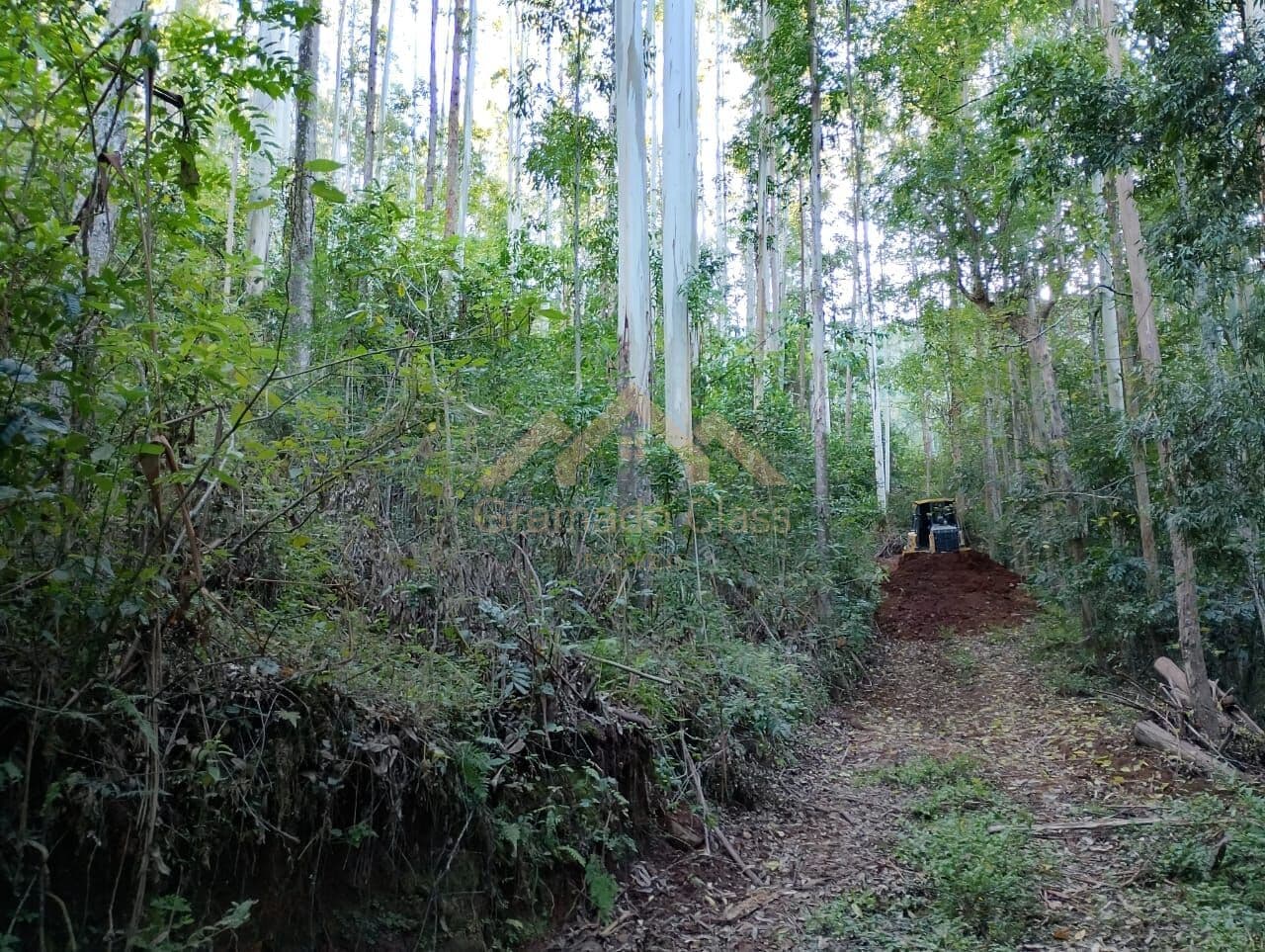 Fazenda/Sítios/Chácaras em Gramado - Linha Bonita
