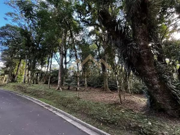 Terreno à venda no condomínio O Bosque - Gramado/RS