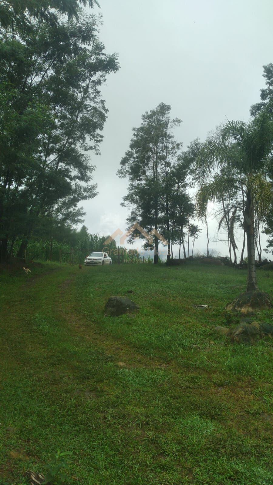 Fazenda/Sítios/Chácaras em Gramado - Área Rural de Gramado
