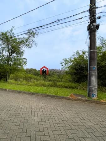LOTE LIVRE DE VIZINHOS DE FUNDOS NO BUENA VISTA!