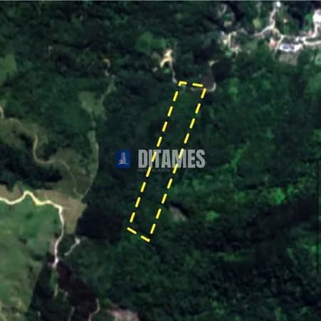Terreno Rural à Venda – Rodeio