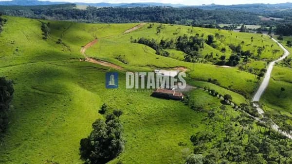 FAZENDA - VENDA - PAPANDUVA