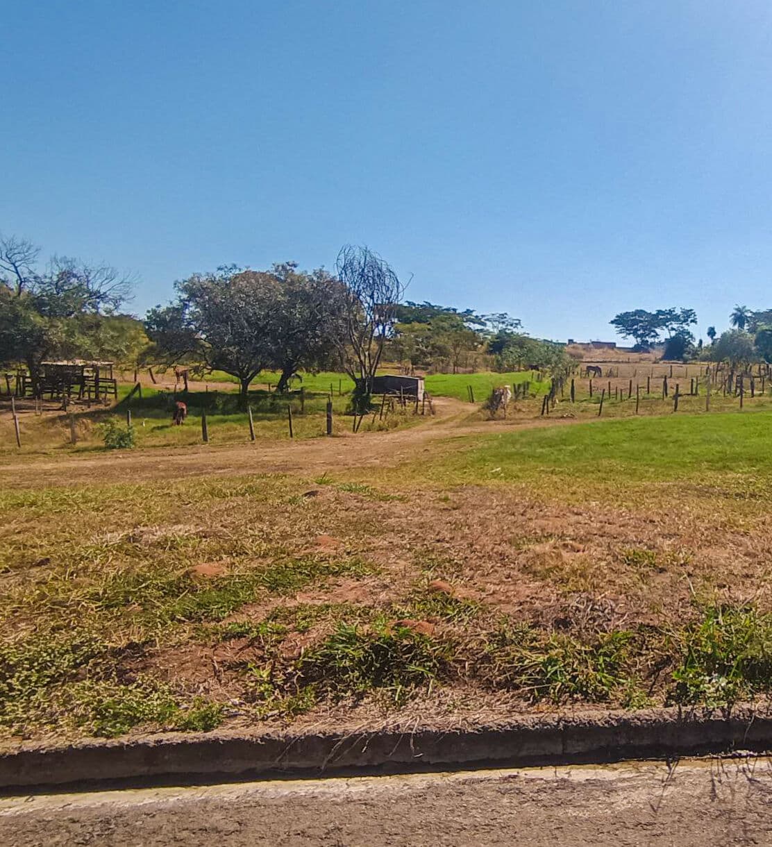 Terreno em Centro, Vista Alegre do Alto/SP