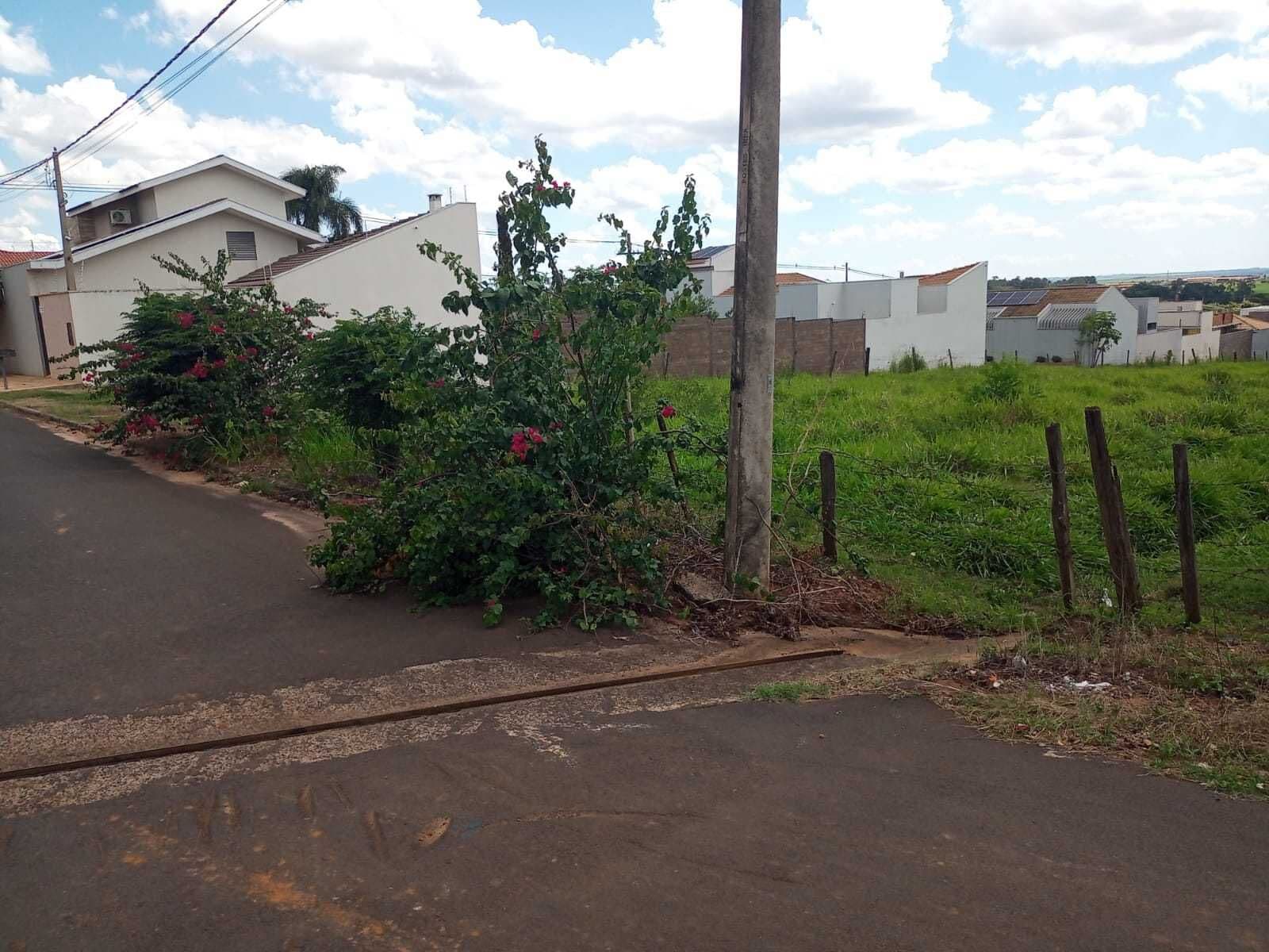 Terreno no bairro Centro em Vista Alegre do Alto-SP, com 296