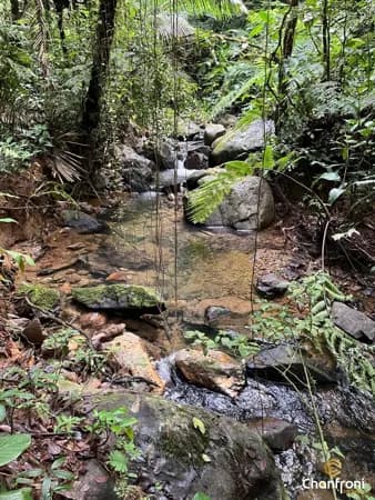 Sítio em Zona Rural - Cananéia SP