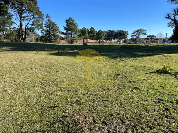 Terreno em Centro, São Francisco de Paula/RS