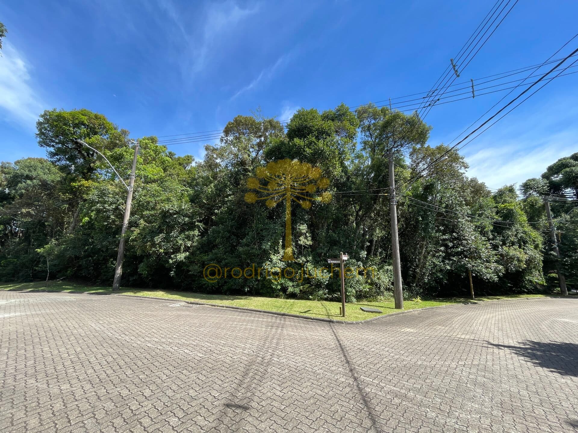Lote/Terreno em Canela - Vila Dante