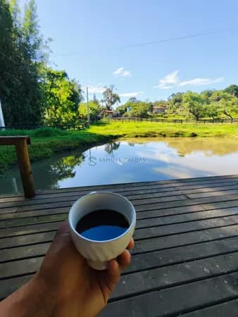 Fazenda/Sítios/Chácaras em Laguna - Ribeirão Pequeno