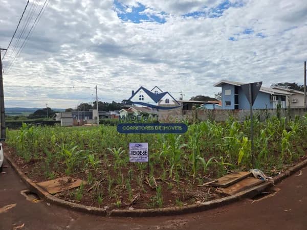 Lote/Terreno em Missal - Centro
