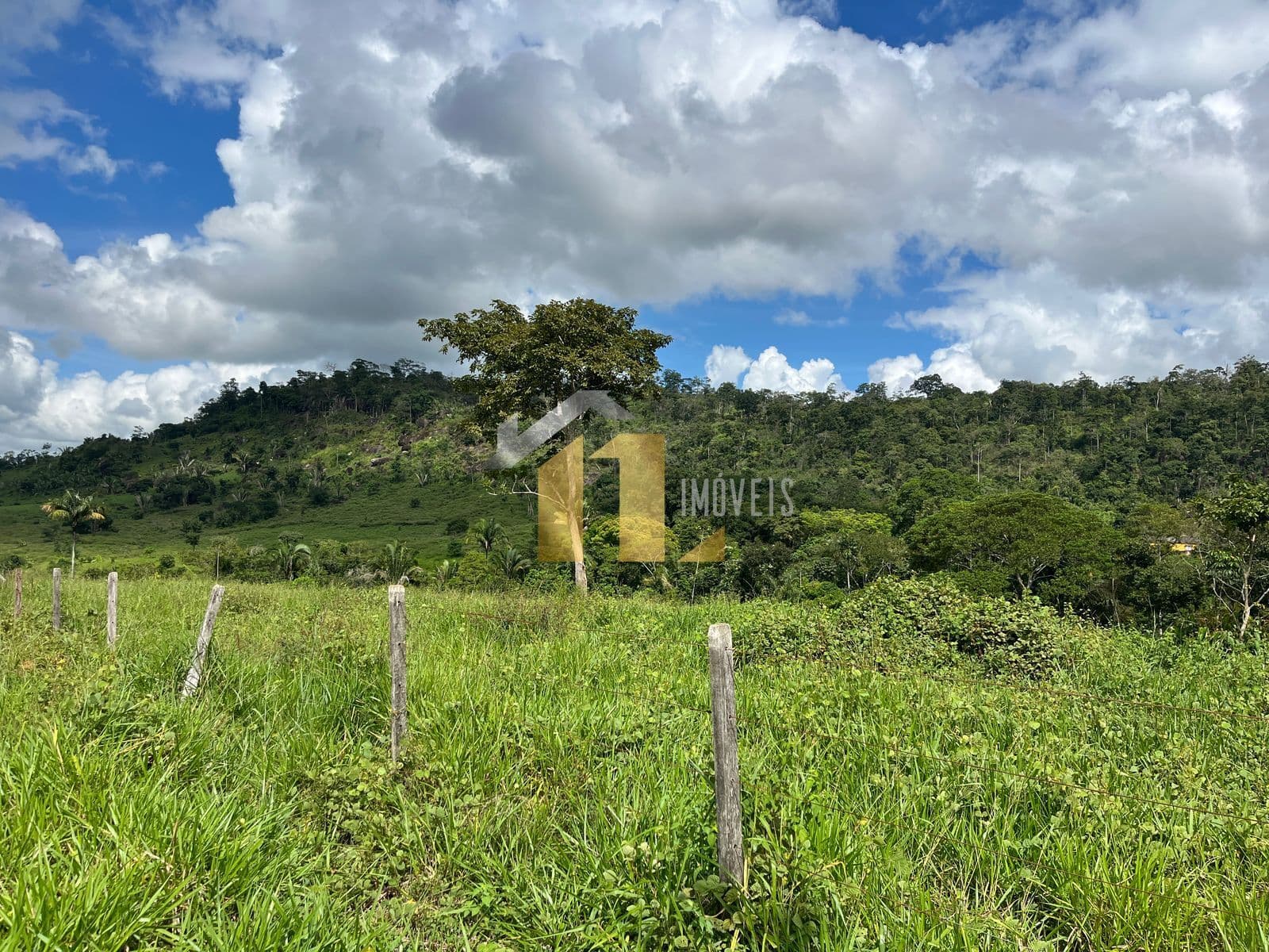 Chácara de 3 Alqueires disponível em Ariquemes