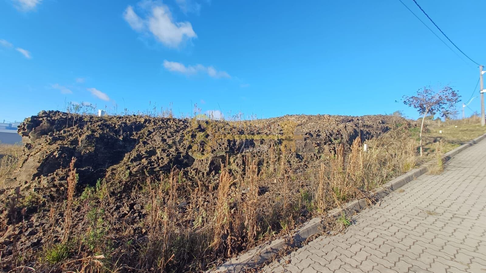 Lote/Terreno em Flores da Cunha - São Gotardo (Distrito)