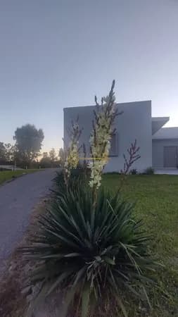 Chácara com excelente casa