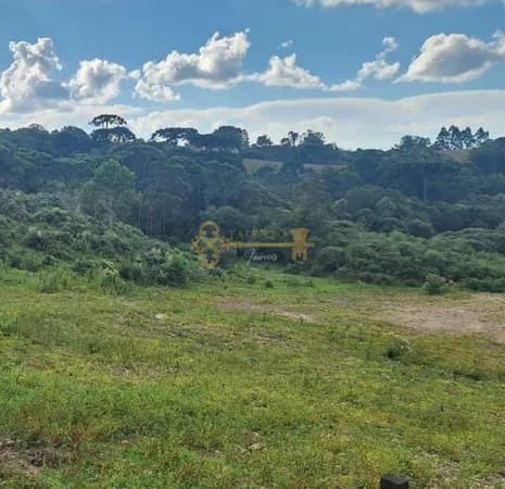 Lote/Terreno em Caxias do Sul - Jardim Iracema