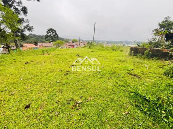 Lote/Terreno em São Bento do Sul - Serra Alta