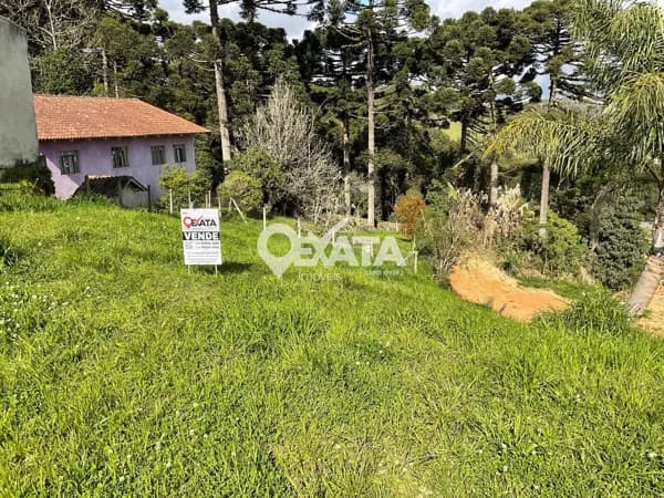 Lote/Terreno em São Bento do Sul - 25 de Julho