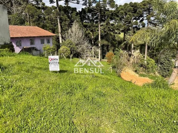 Lote/Terreno em São Bento do Sul - 25 de Julho