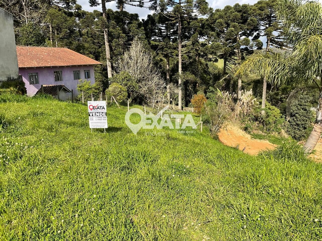 Lote/Terreno em São Bento do Sul - 25 de Julho