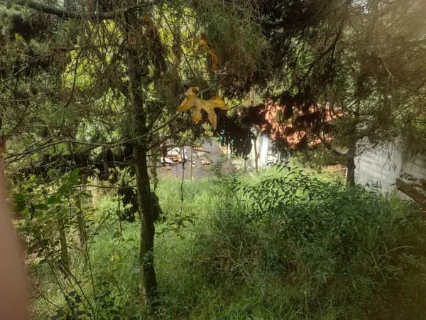 Terreno à Venda | 503m² – Condomínio Granja Carneiro Viana | Super Oportunidade!