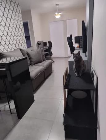 Apartamento de 45m² à Venda no Top Life Granja Vianna – PORTEIRA FECHADA - Totalmente Reformado!