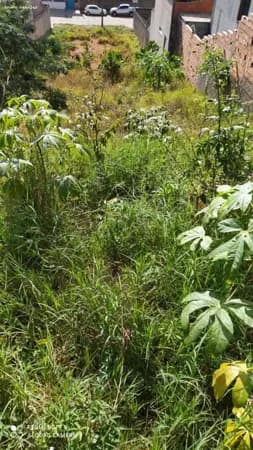 Lote para Venda em João Monlevade, Teresopolis