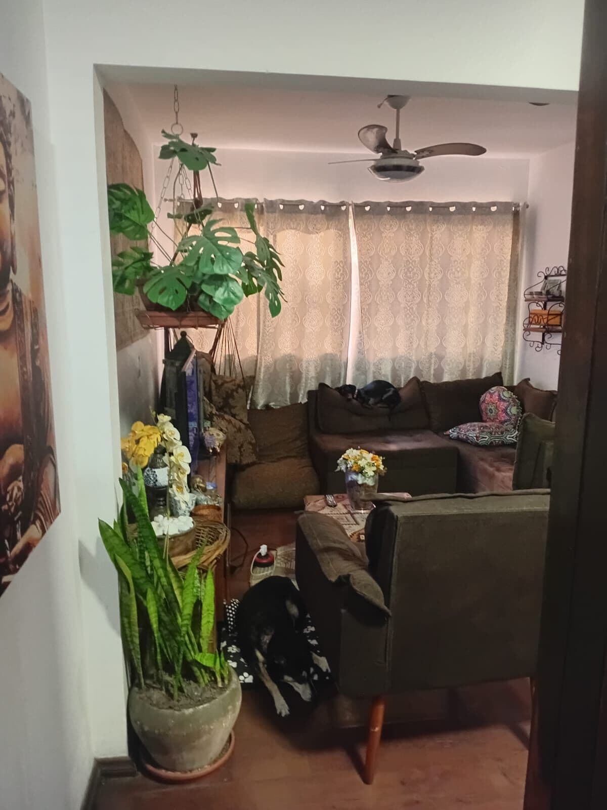 Apartamento em São Paulo - Jardim Taquaral